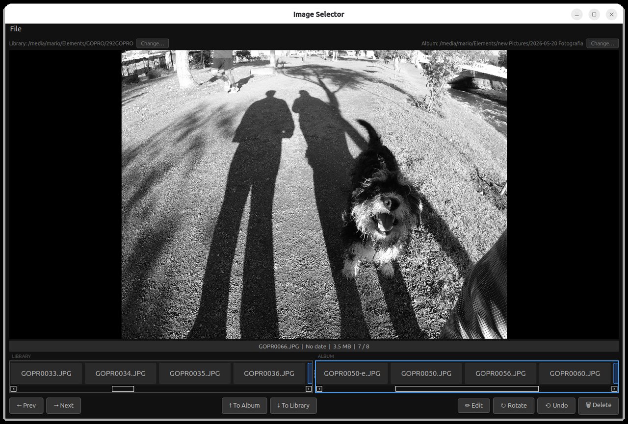 Image Selector — triage view